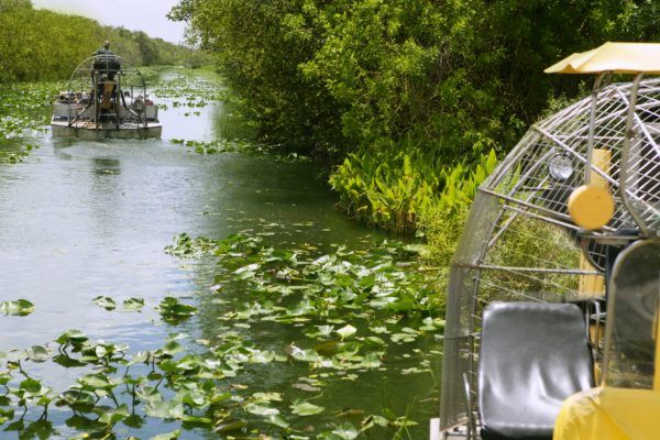 Everglades from Miami