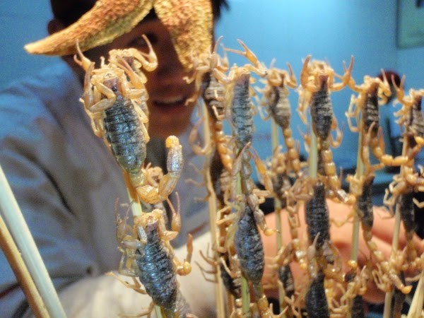 Scorpions to eat in China