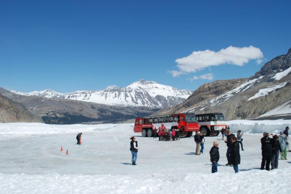 Athabasca Glacier