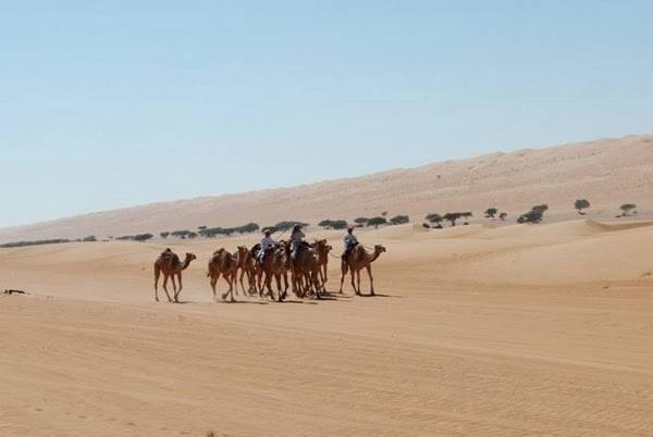 Getting to the Wahiba Sands