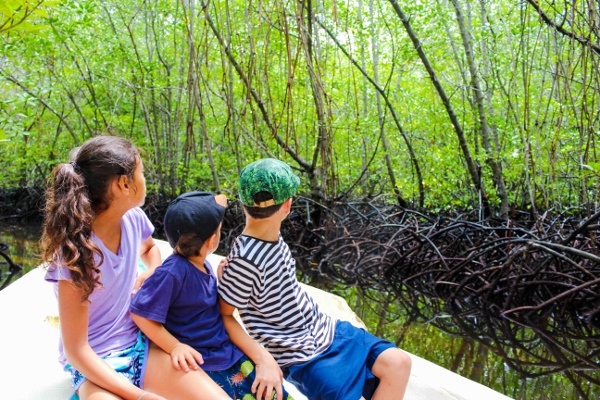Morgan Family in the Mangrove Forest of Nusa Lembongan