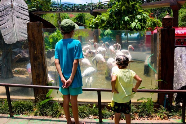 Morgans Go Travelling at the Chiang Mai Zoo