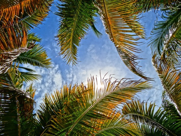 Akumal Beach