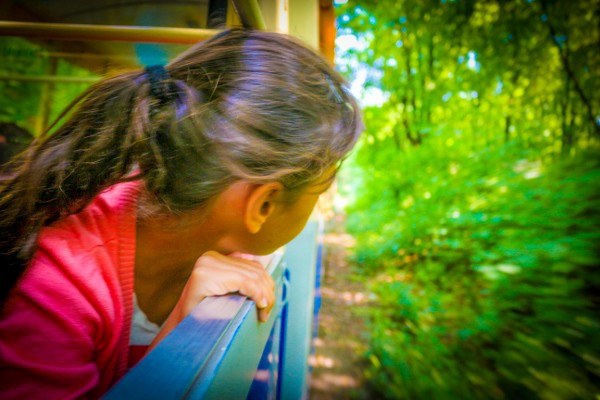 Riding the Miniature Railway in Poland