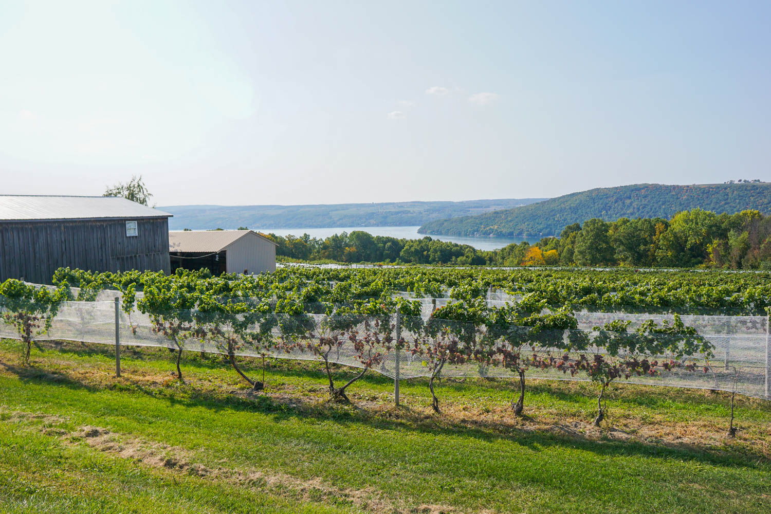 7 of the Best Finger Lakes Wineries You Must Visit