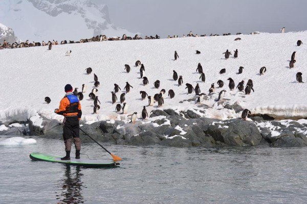 Stand Up Paddleboarding in Antarctica