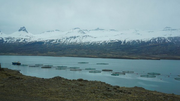 A Cloudy Day in the Fjords of Iceland