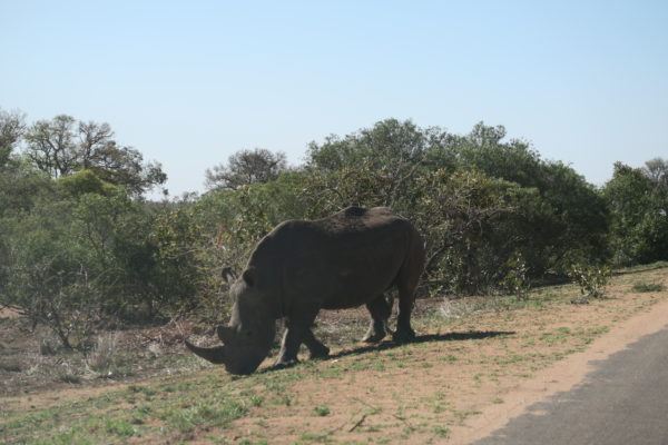 Kruger National Park