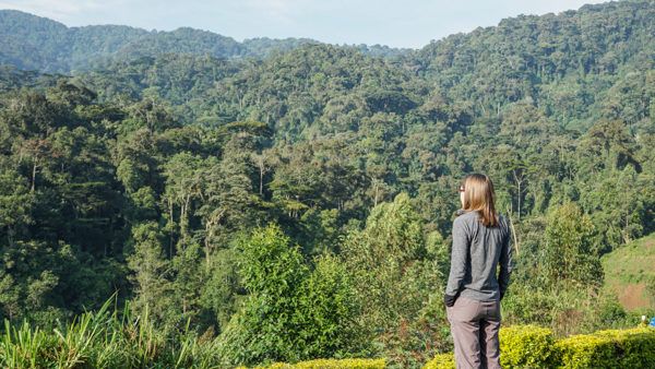 Bwindi Impenetrable National Forest