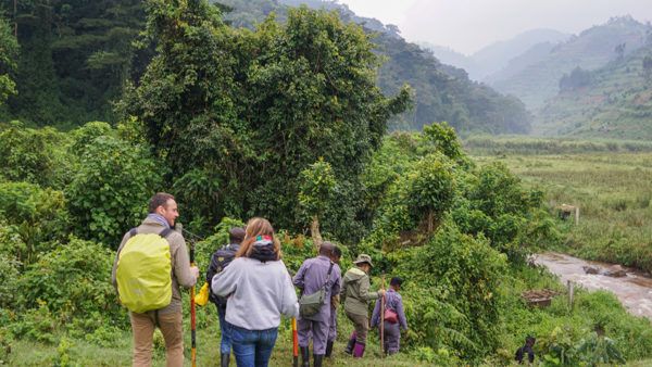 Hiking Bwindi