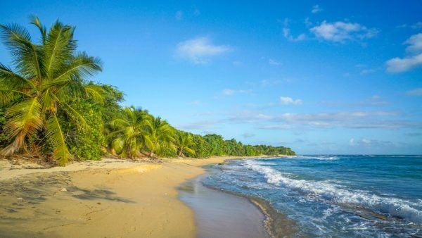 Playa Grande Beach