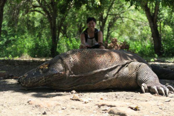 Komodo Island