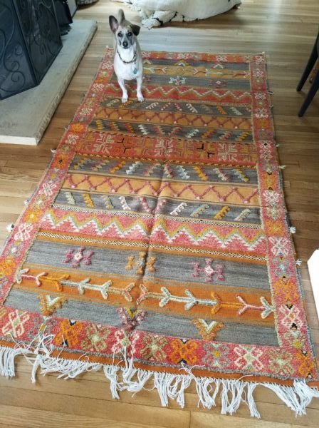 A Moroccan rug we purchased for a friend.