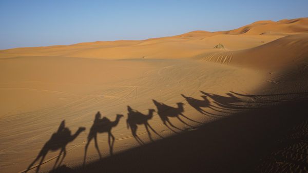 Sahara Desert Trips in Morocco