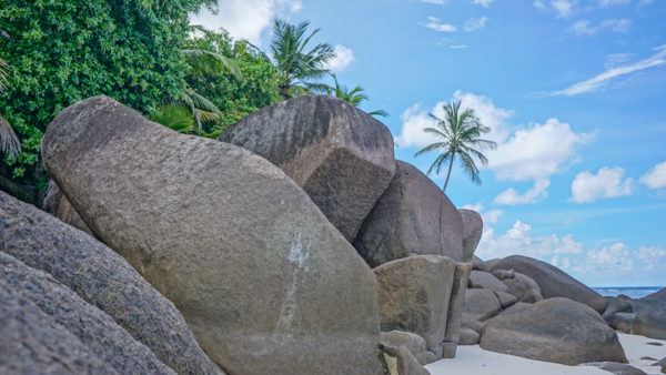 Gorgeous Beach on Silhouette Island