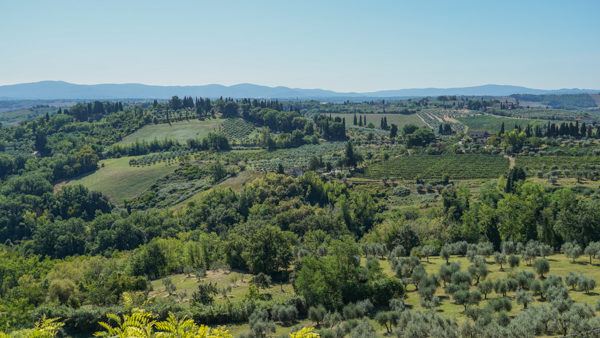 Tuscany Tour Take Walks Italy