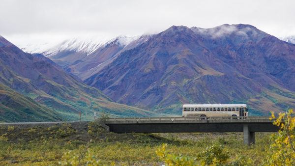 Bus Tour of Denali National Park