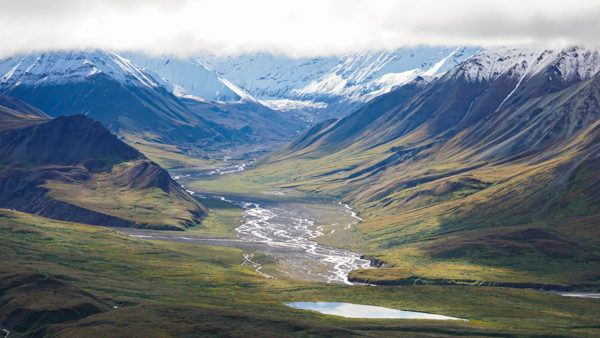 Denali National Park