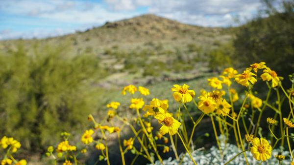 South Mountain Park