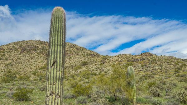 Pima Canyon, Arizona