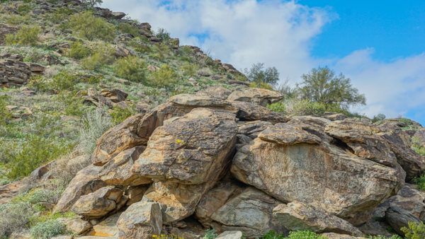 Rock Carvings at South Mountain Park