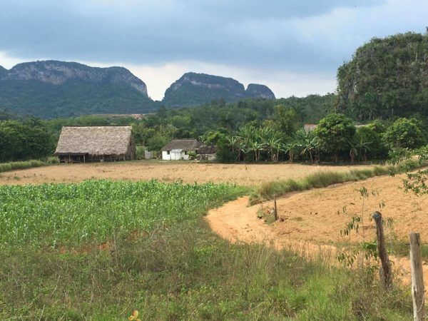 Vinales, Cuba