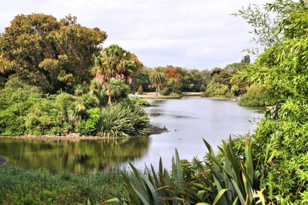 Royal Botanic Gardens in Melbourne