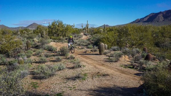 Biking in Usery Mountain Regional Park