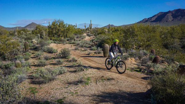 Biking with Arizona Outback Adventures