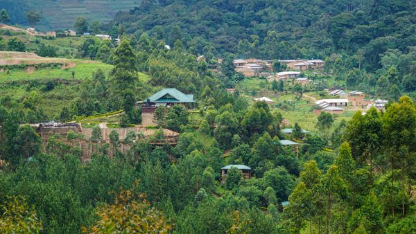 Bwindi, Uganda