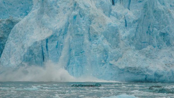 Calving Glacier at Kenai Fjords