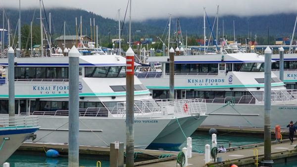 Kenai Fjords Tour Boats