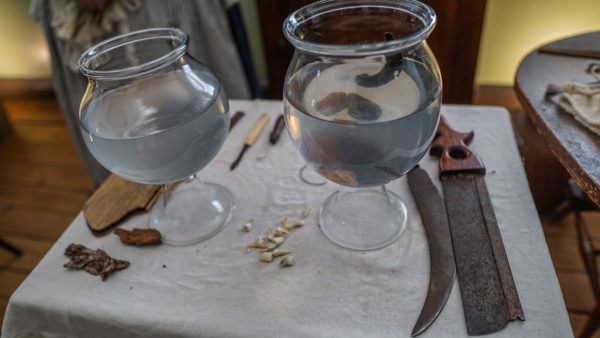 Leeches for Bloodletting and Tools for Amputation