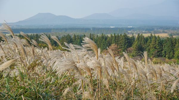 Volcano Crater on Jeju