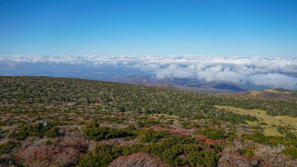 View from Mount Hallasan