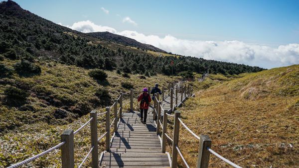 Wooden Path on the Yeongsil Trail