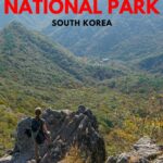 naejangsan national park tour