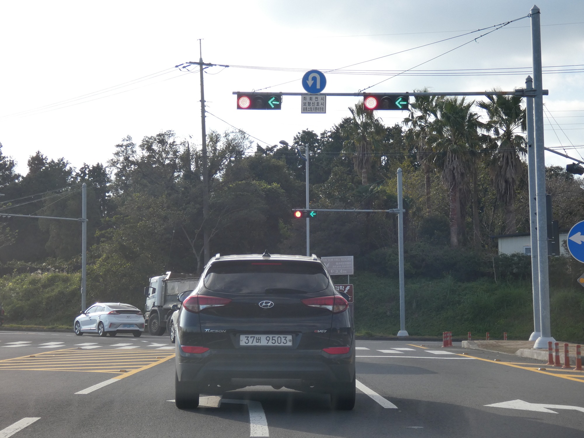 Driving Tips for Your Jeju Car Rental in South Korea