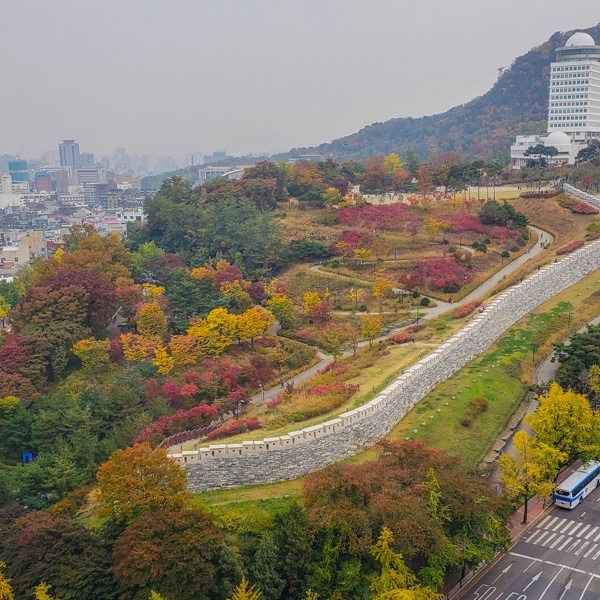 Namsan Park from Hilton Seoul Room