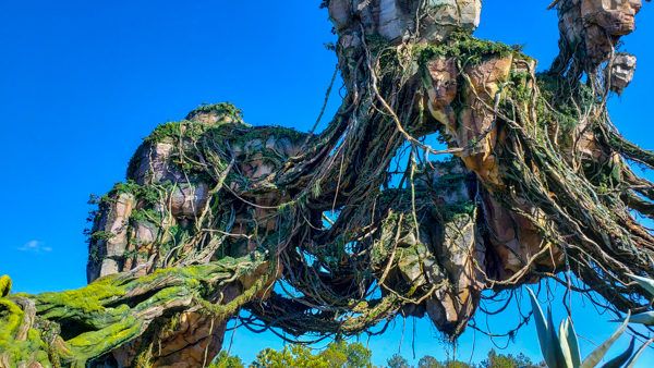 Pandora at Animal Kingdom