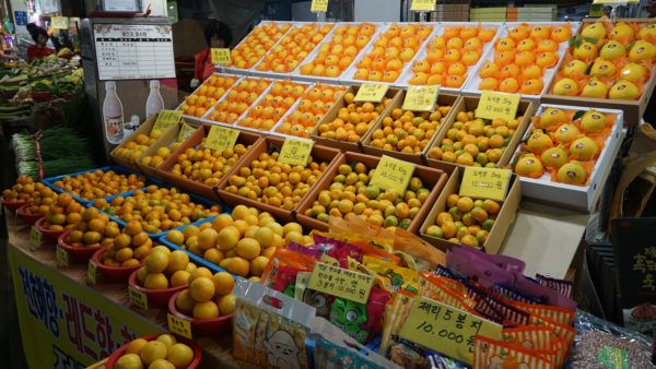 Jeju Oranges at Seogwipo Market