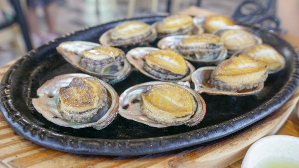 Abalone on Jeju Island