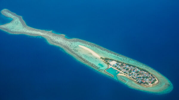 Aerial Shot of Maldives Island