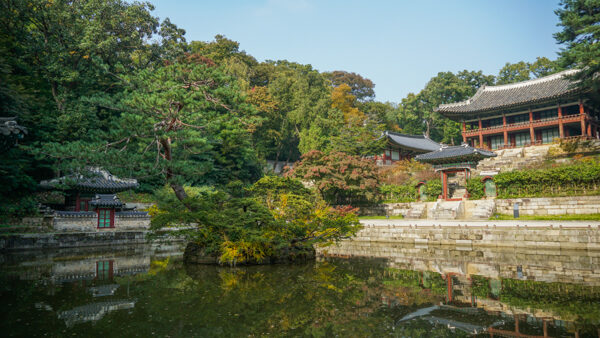 Secret Garden at Changdeokgung Palace