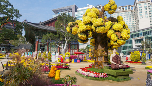 Jogyesa Temple