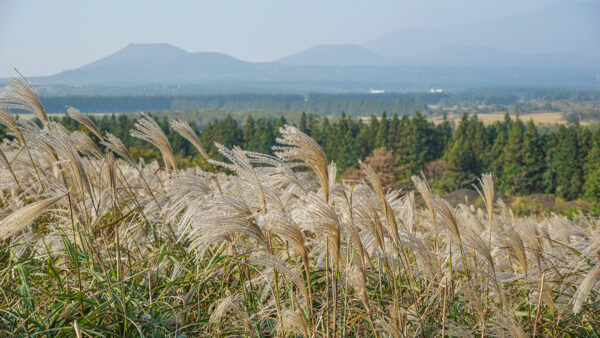 Jeju Volcano Crater