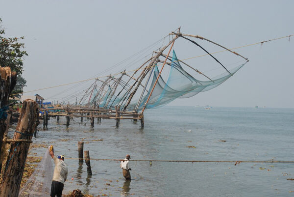 Fort Kochi Fishing