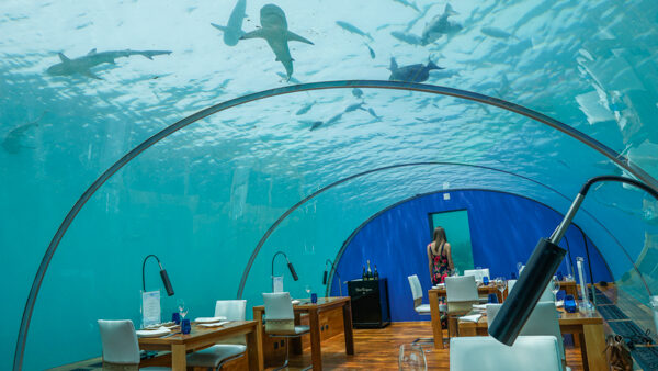 Ithaa Underwater Restaurant in Maldives