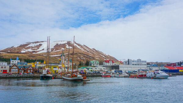 Looking Back Onto Iceland from the Water