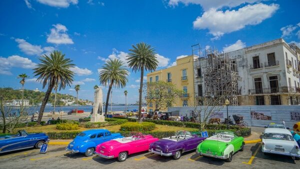 Classic Cars Lined Up